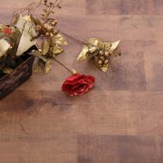 OP-YX02圣德雷沙 強化地板