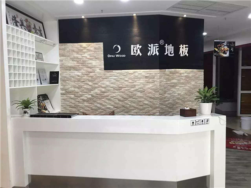 歐派地板江西九江店開(kāi)業(yè)