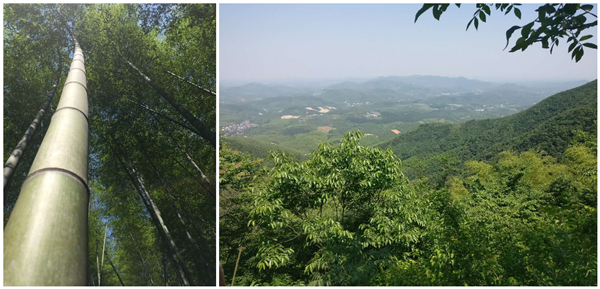 歐派地板2017年拓展活動