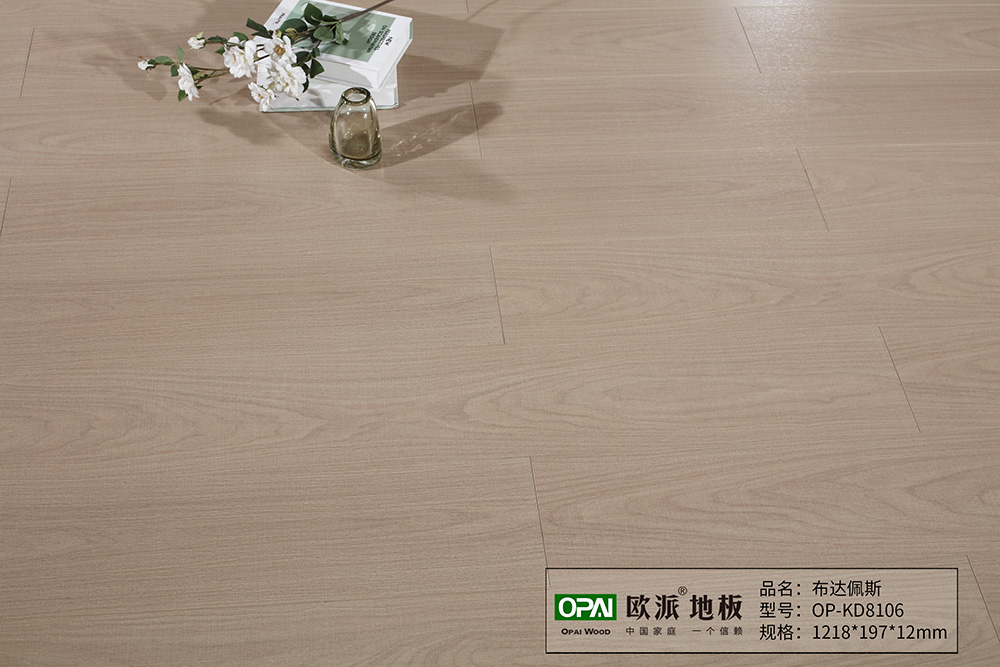 OP-KD8106布達佩斯