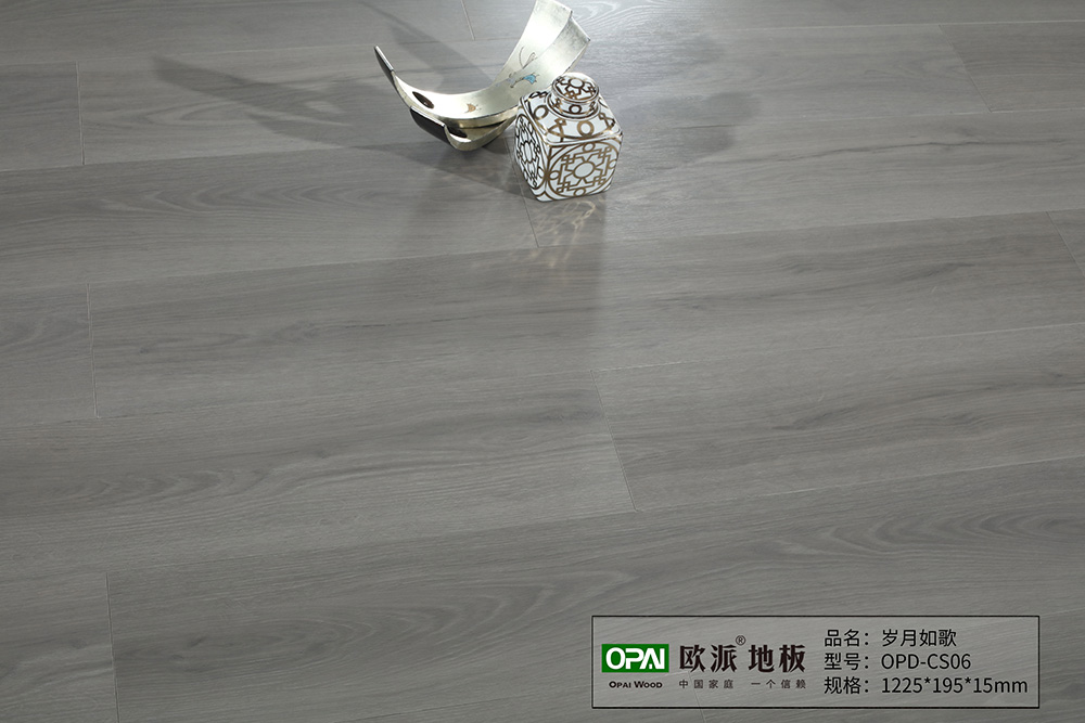 OPD-CS06歲月如歌